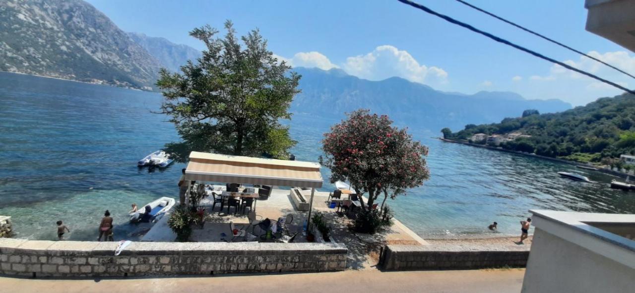 Apartmants Alexander Appartement Kotor Buitenkant foto