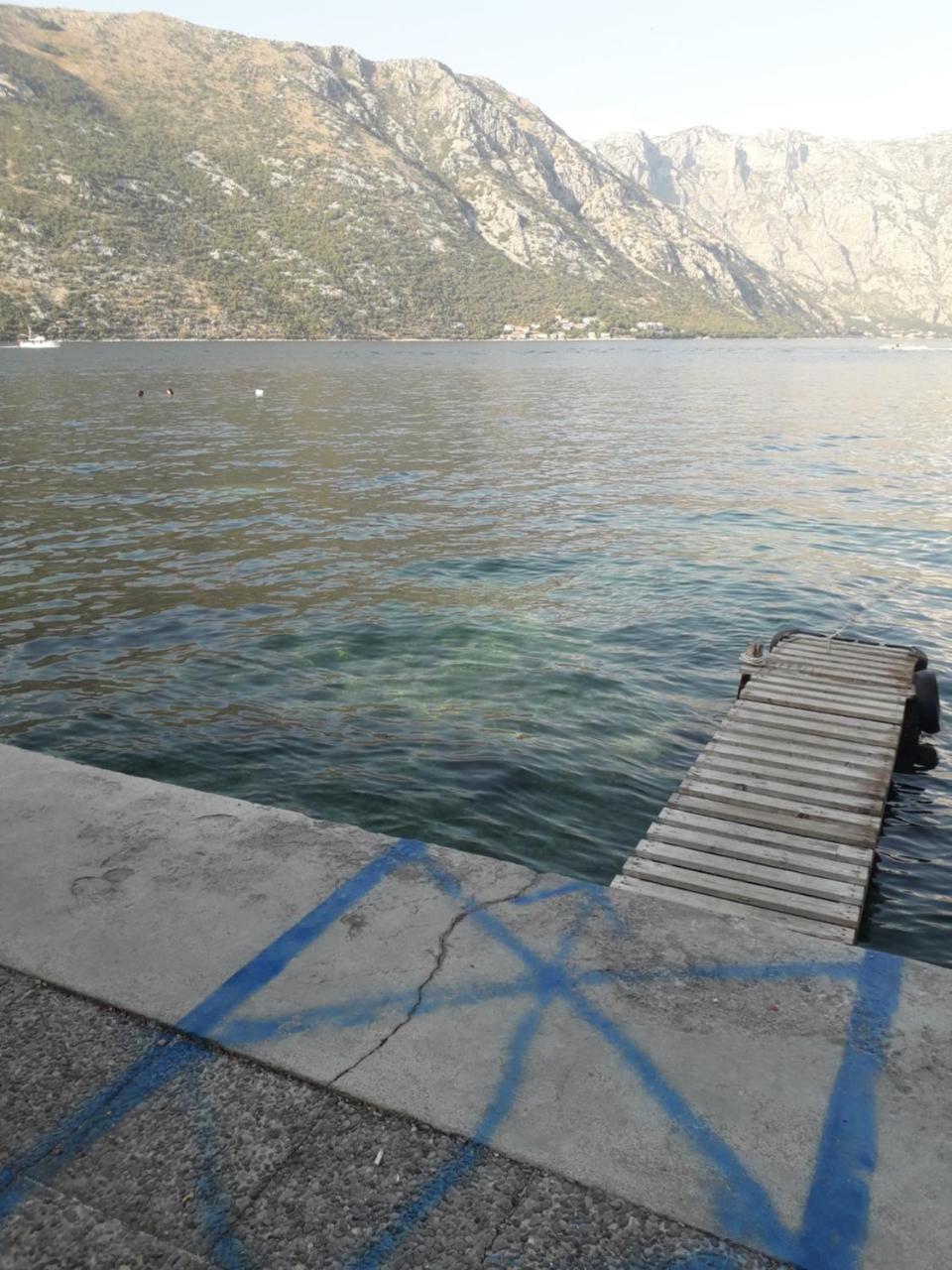Apartmants Alexander Appartement Kotor Buitenkant foto