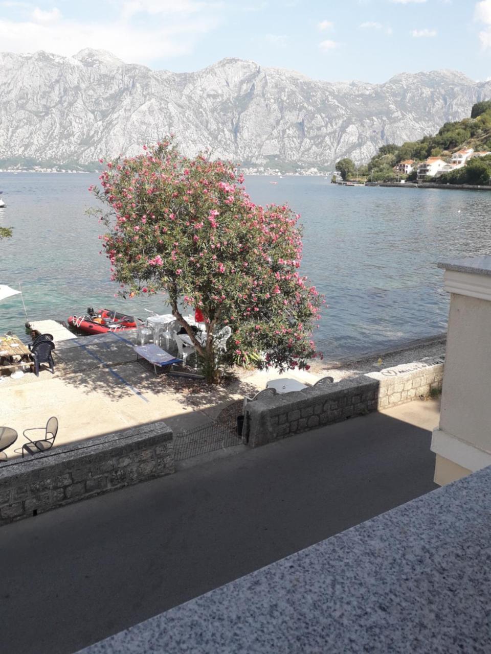 Apartmants Alexander Appartement Kotor Buitenkant foto