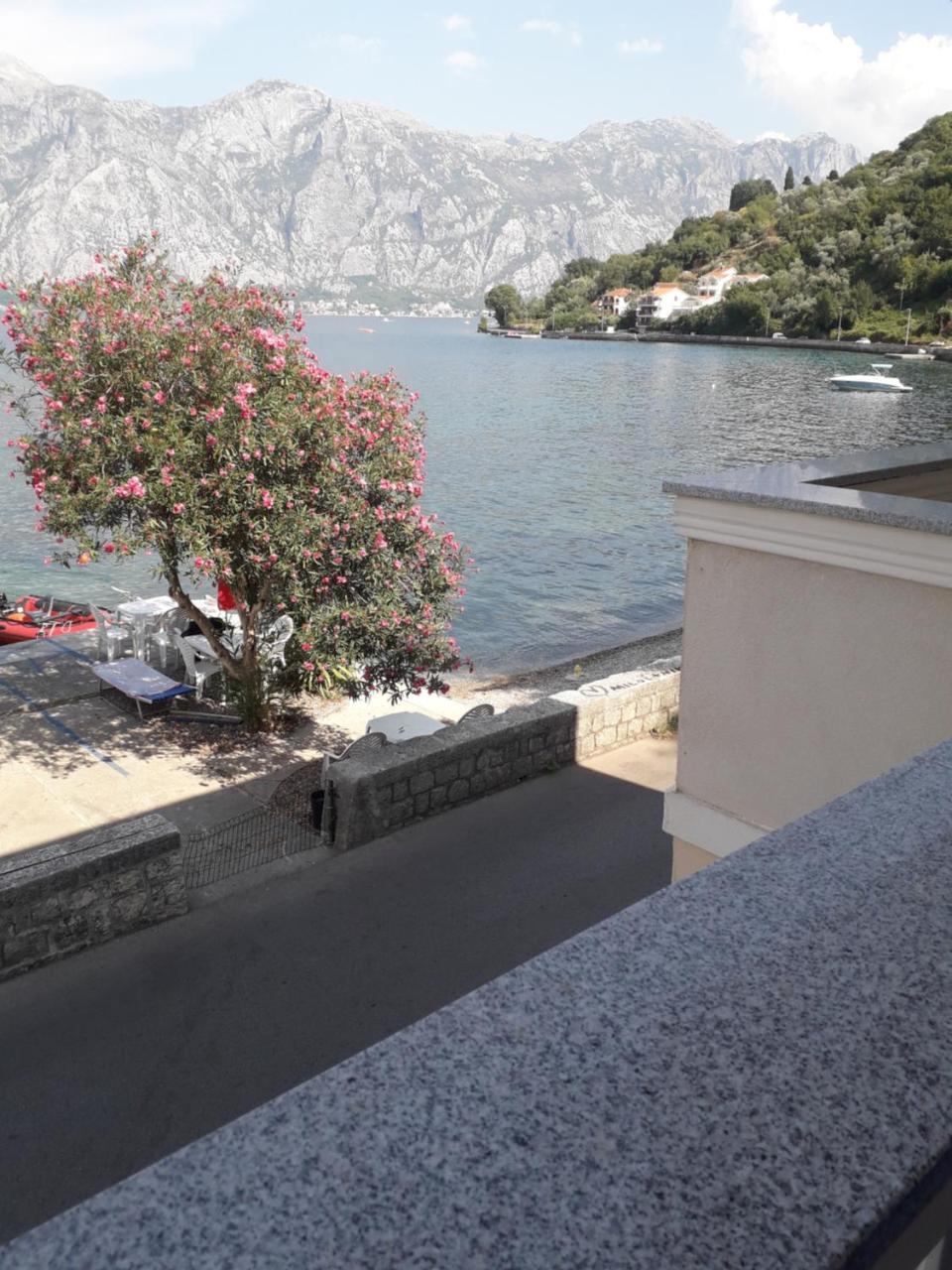 Apartmants Alexander Appartement Kotor Buitenkant foto